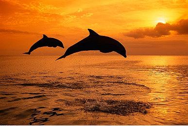 《漫威银河护卫队》因其单机特性将专注于剧情塑造